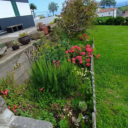 Chalet Sunrise House Nordeste (Azores)
