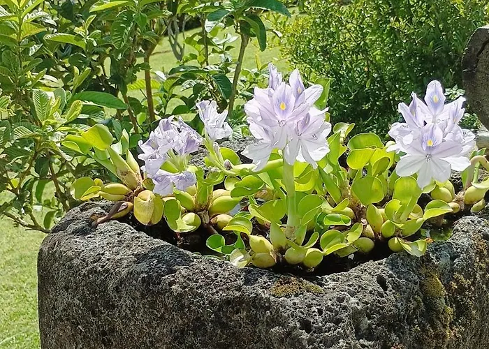 בקתה Sunrise House נורדסטה